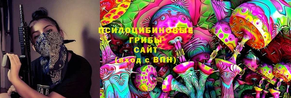 шишки Алексин