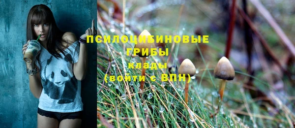шишки Алексин