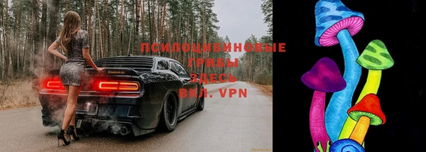 шишки Алексин