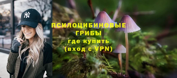 шишки Алексин