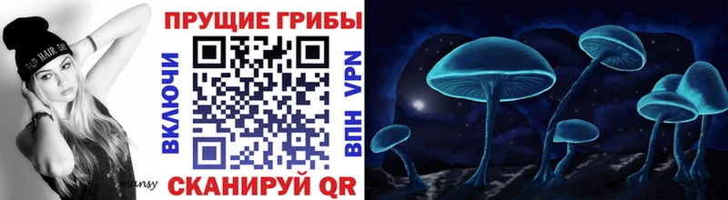Галлюциногенные грибы ЛСД Чебоксары