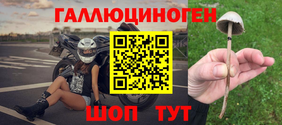 Псилоцибиновые грибы ЛСД  Псилоцибиновые грибы MAGIC MUSHROOMS  Вход с VPN  Чебоксары 