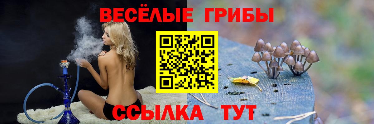 Галлюциногенные грибы ЛСД Чебоксары